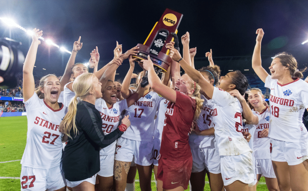 对这些问题 对这些问题